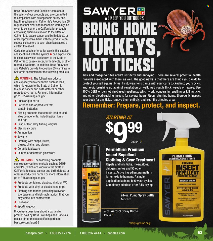 Cabela's ad. Page 1