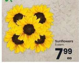 Sunflowers