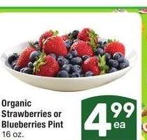 Organic Strawberries or Blueberries - Pint 16 oz.