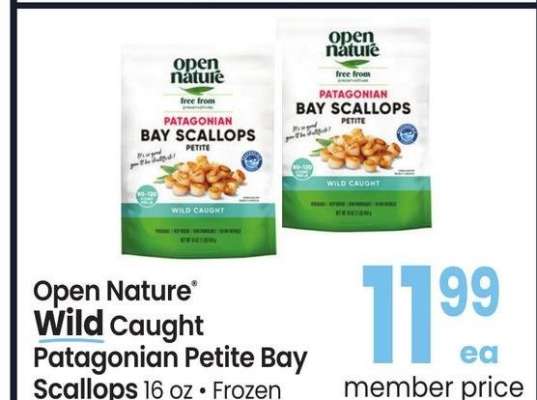 Open Nature® Wild Caught Patagonian Petite Bay Scallops - 16 oz., Frozen