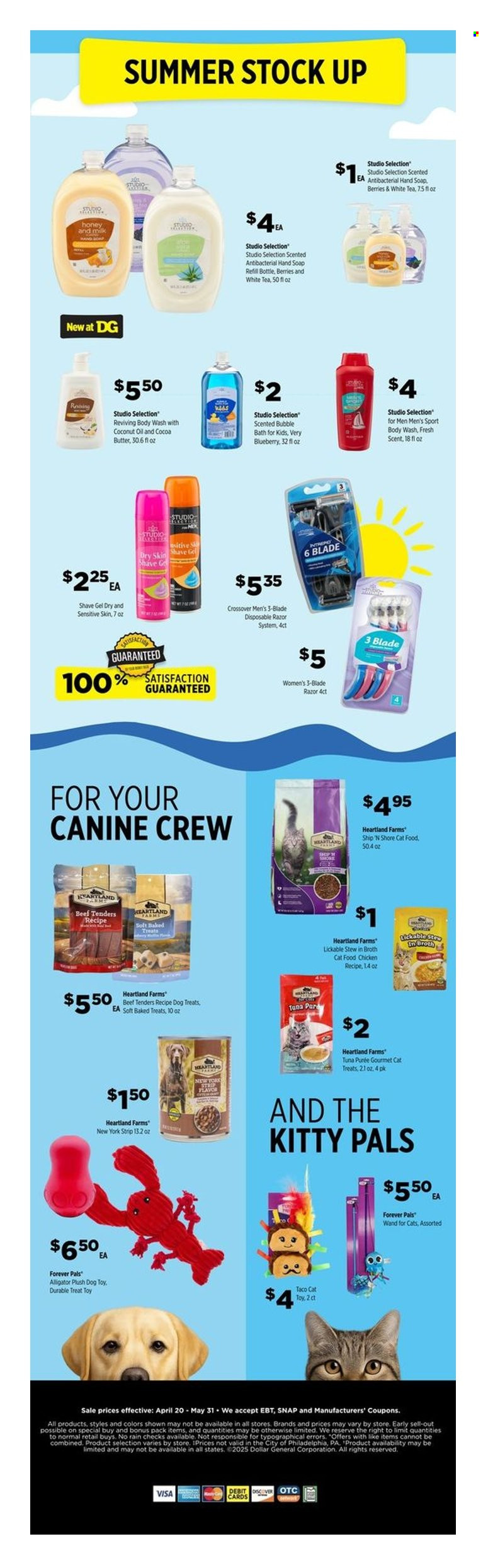 Dollar General ad - 04/20/2025 - 05/31/2025. Page 1