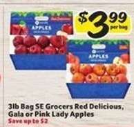 3lb Bag SE Grocers Apples