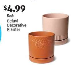 Belavi Decorative Planter