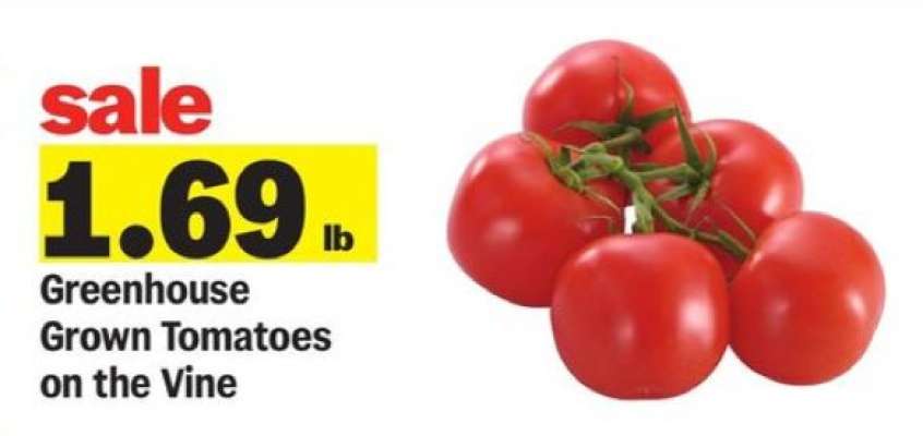 Greenhouse Grown Tomatoes on the Vine
