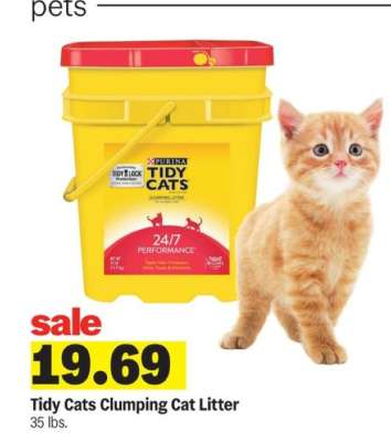 Tidy Cats Clumping Cat Litter*