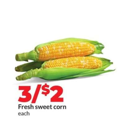 Fresh Sweet Corn