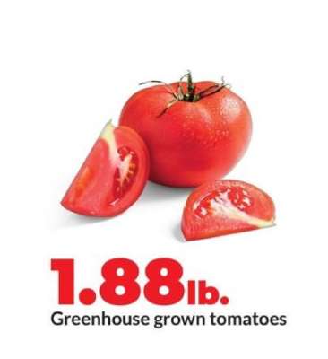 Greenhouse grown tomatoes