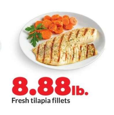 Fresh Tilapia Fillets