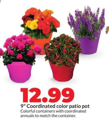 9" Coordinated color patio pot