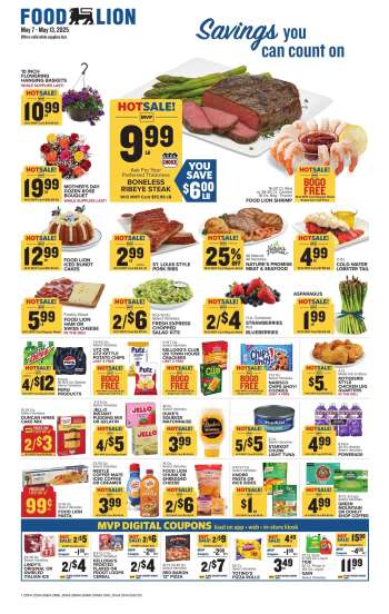 thumbnail - Food Lion Ad - Weekly Ad
