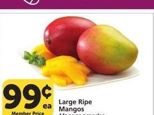 Large Ripe Mangos