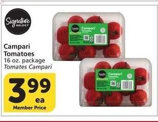 Campari Tomatoes - 16 oz. package