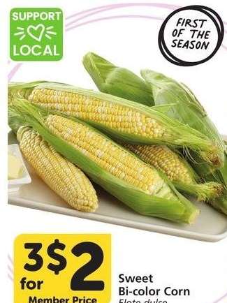 Sweet Bi-Color Corn