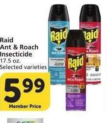 Raid Ant & Roach Insecticide - 17.5 oz. Selected varieties