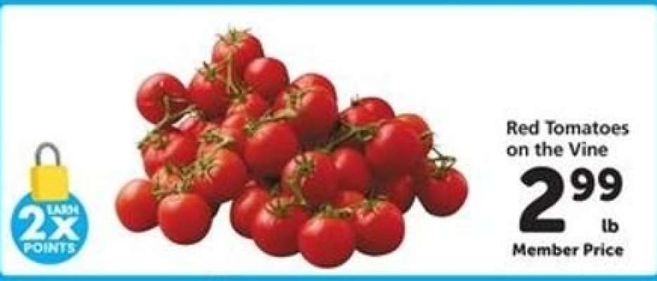 Red Tomatoes on the Vine