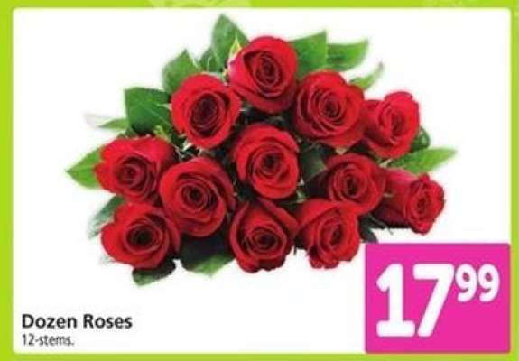 Dozen Roses