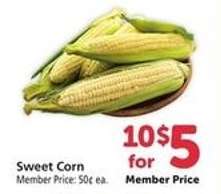 Sweet Corn