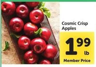 Cosmic Crisp Apples