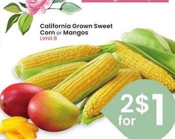California Grown Sweet Corn or Mangos