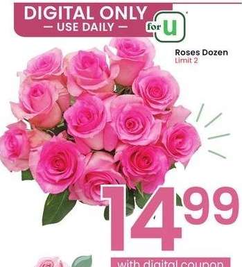 Roses Dozen