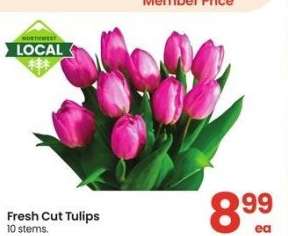 Fresh Cut Tulips - 10 stems.