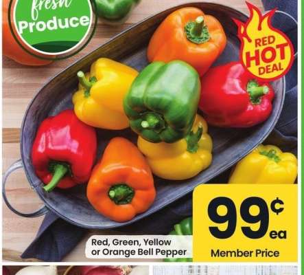 Red, Green, Yellow or Orange Bell Pepper