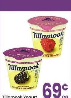 Tillamook Yogurt - 6 oz • Selected Varieties