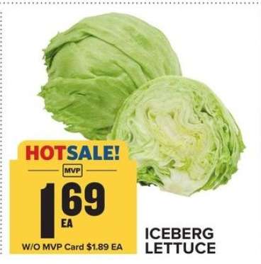 Iceberg Lettuce