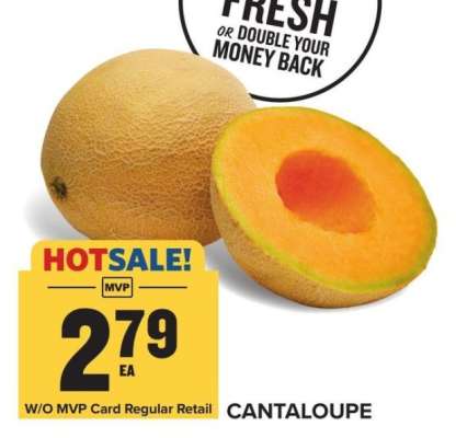 Cantaloupe