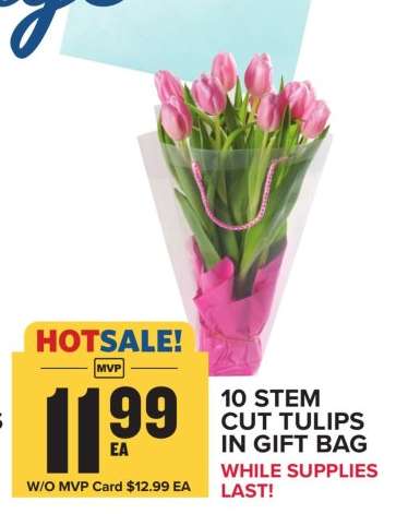 10 Stem Cut Tulips in Gift Bag
