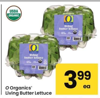 O Organics® Living Butter Lettuce