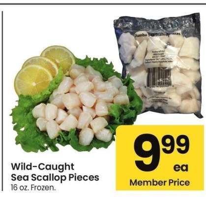 Wild-Caught Sea Scallop Pieces - 16 oz. Frozen.