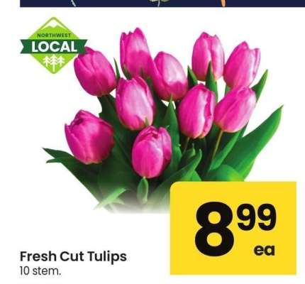 Fresh Cut Tulips - 10 stem.
