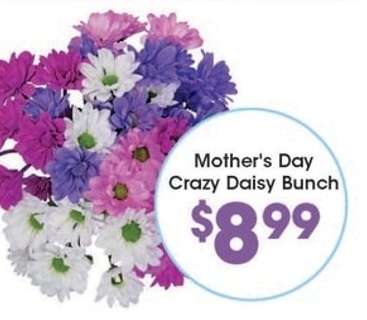 Mother's Day Crazy Daisy Bunch