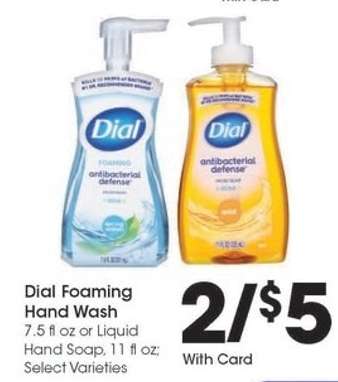 Dial Foaming Hand Wash