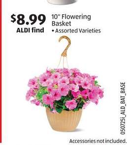 10" Flowering Basket