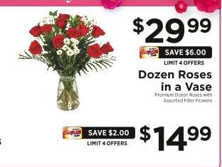 Dozen Roses in a Vase