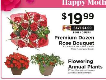 Premium Dozen Rose Bouquet