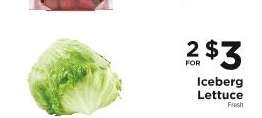 Iceberg Lettuce