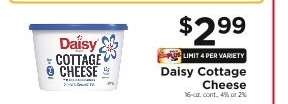Daisy Cottage Cheese