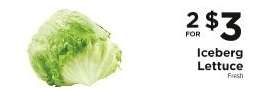 Iceberg Lettuce