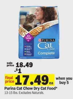 Purina Cat Chow Dry Cat Food