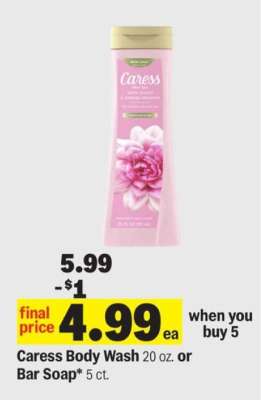 Caress Body Wash or Bar Soap