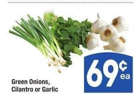 Green Onions, Cilantro or Garlic