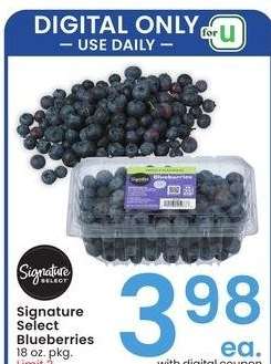 Signature Select Blueberries - 18 oz. pkg.