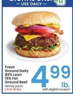 Fresh Ground Daily 85% Lean 15% Fat Ground Beef - family pack