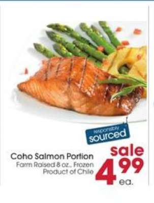 Coho Salmon Portion