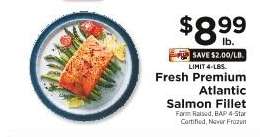 Fresh Premium Atlantic Salmon Fillet