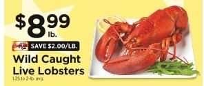 Wild Caught Live Lobsters