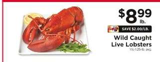 Wild Caught Live Lobsters